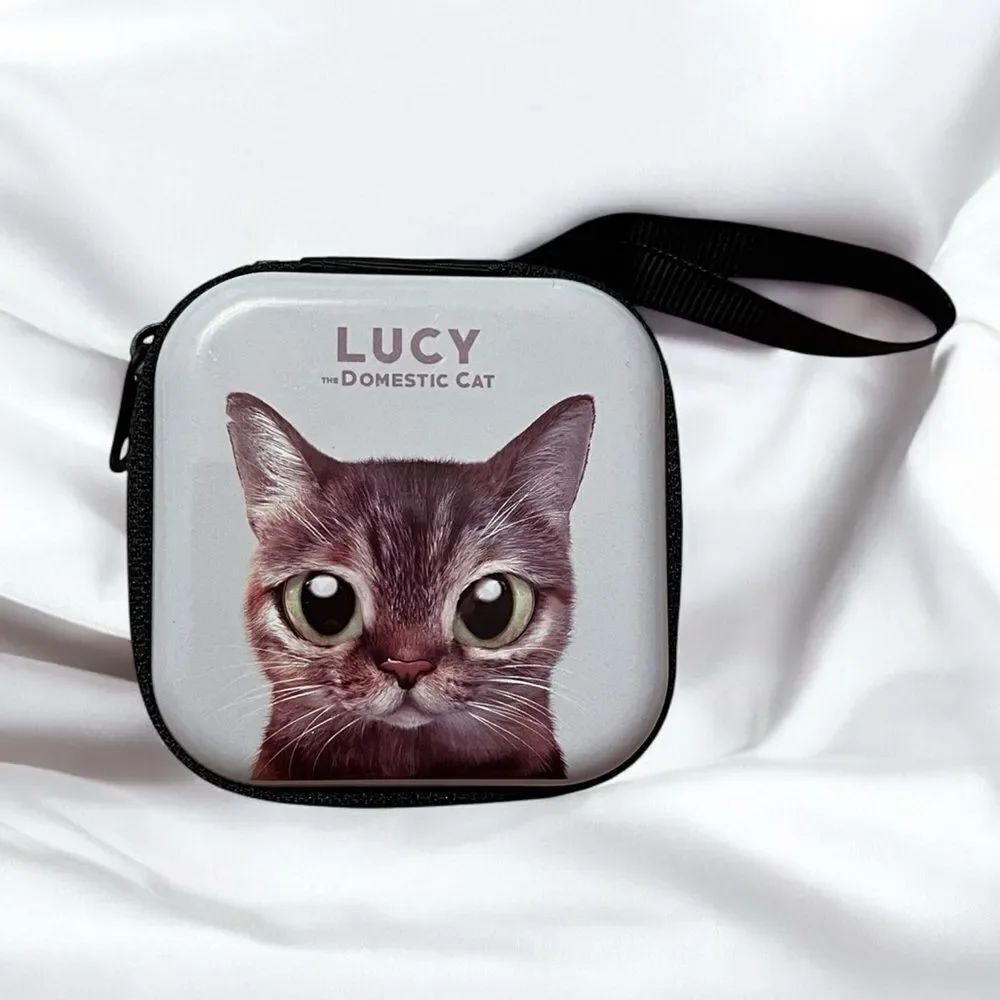 Gray Domestic Cat Zippered AirPod Or Trinket Case